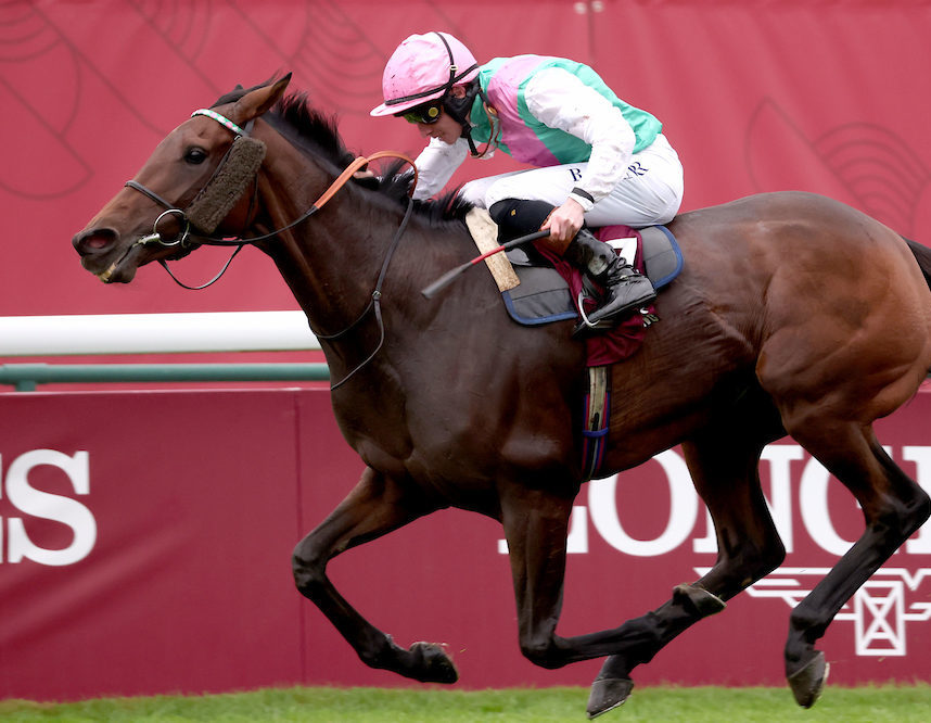 Prix de l’Arc de Triomphe 2024 - Rossa on Bluestocking